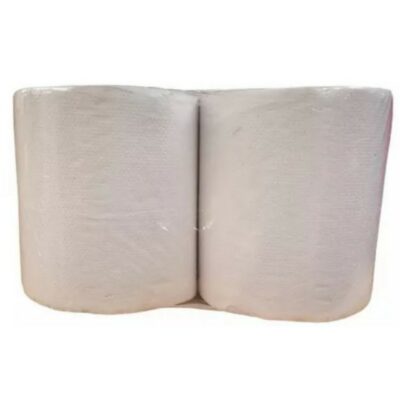 TOALLA ROLLO 300M S-H BCO 2U